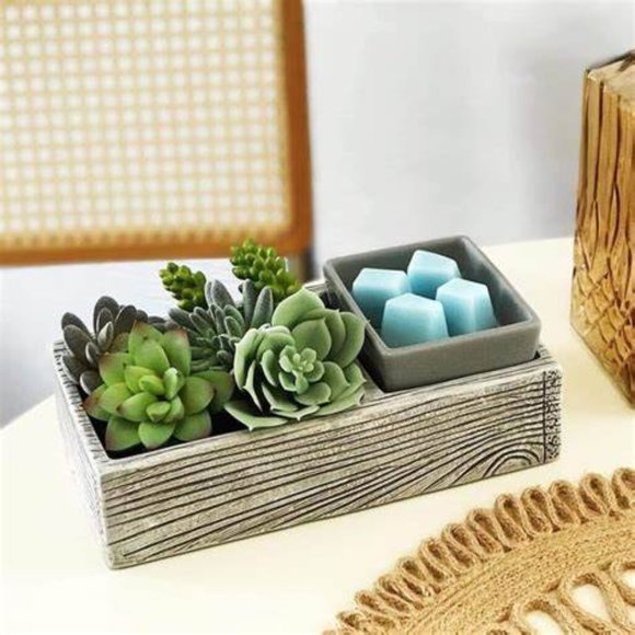 Scentsy Other - NEW in box, Scentsy Succulent Element Warmer